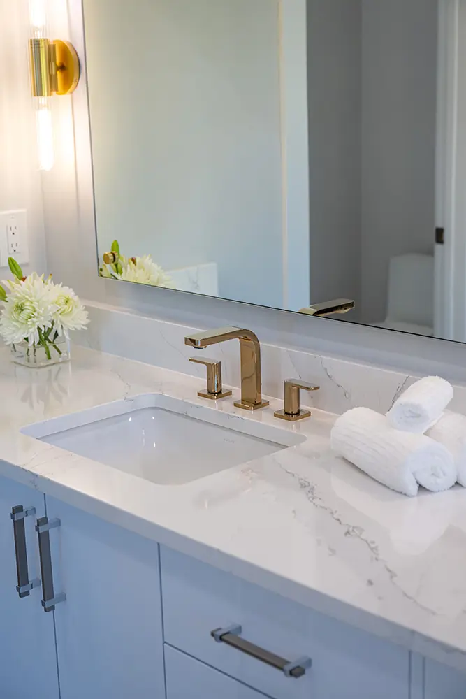 Chapman Oaks Owners Bath Sink